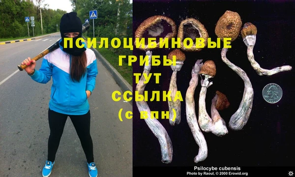 ешки Наволоки