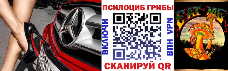 shop телеграм  Тулун  Галлюциногенные грибы Psilocybe 