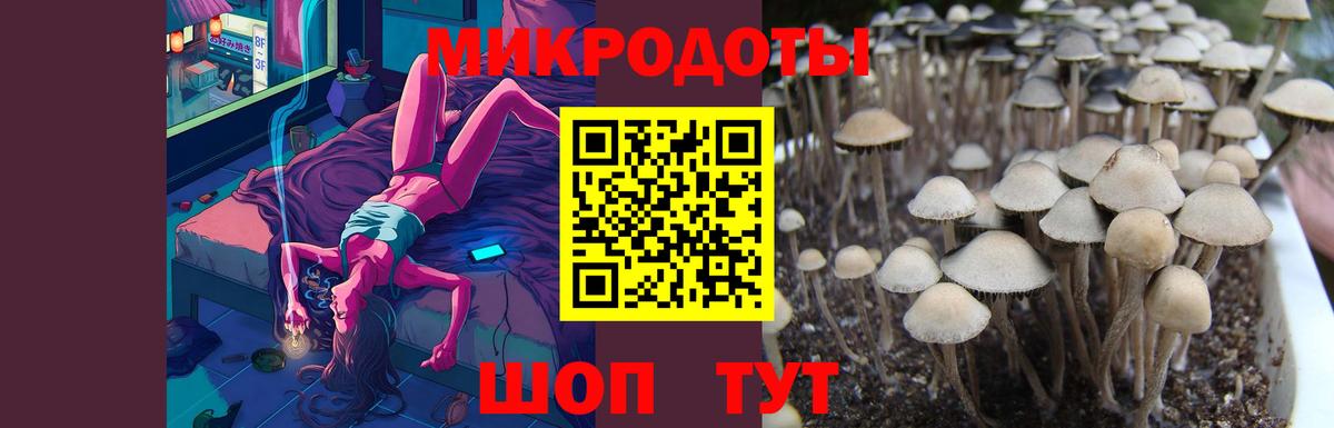 Тулун  Галлюциногенные грибы прущие грибы  где купить наркоту  Вход с VPN 